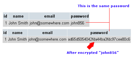 password for encrypted archive